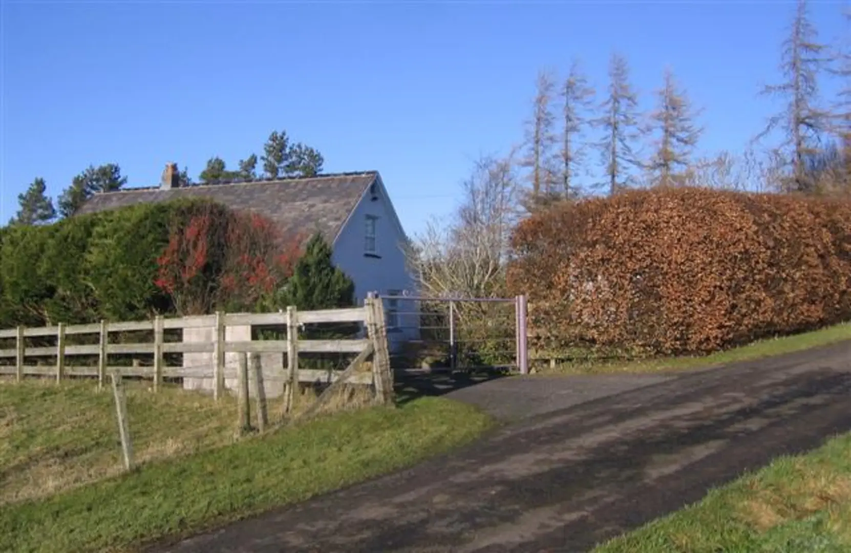 An image depicting the trail Wren Crag, High Rigg and Tewet Tarn Loop and its surrounding area.