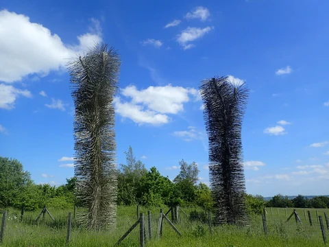 White Horse Wood Country Park