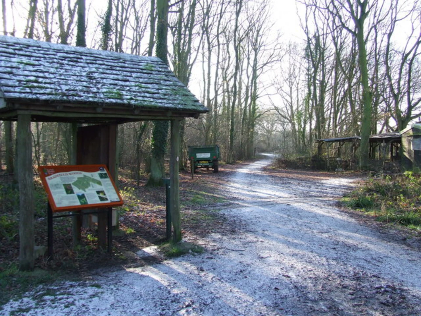 An image depicting the trail Bradfield Woods and its surrounding area.