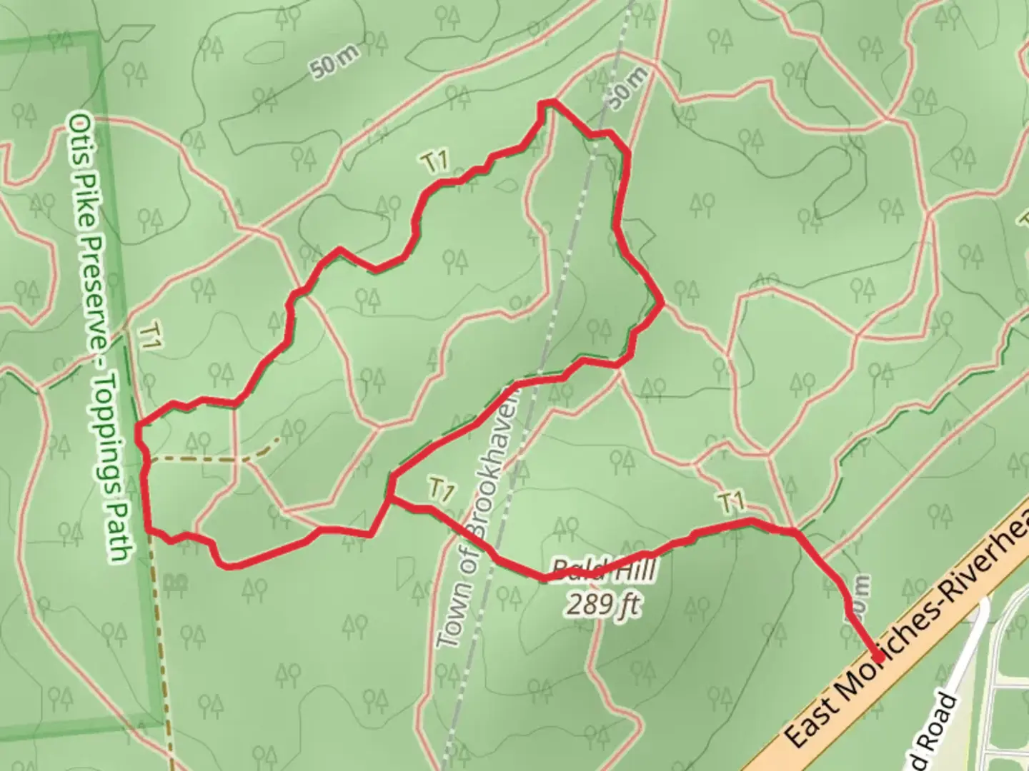An image depicting the trail Bald Hill and Paumanok Path Loop and its surrounding area.