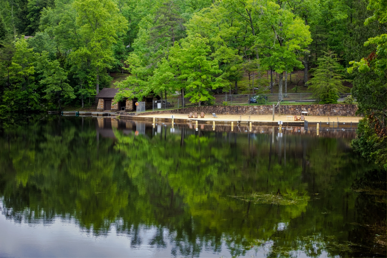 An image depicting the trail Pickett State Park Campground - Lake Trail and its surrounding area.