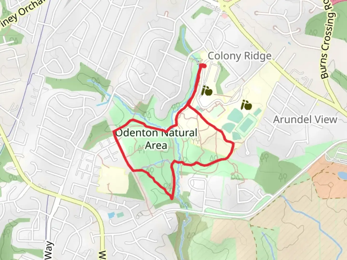An image depicting the trail Odenton Natural Area Loop and its surrounding area.