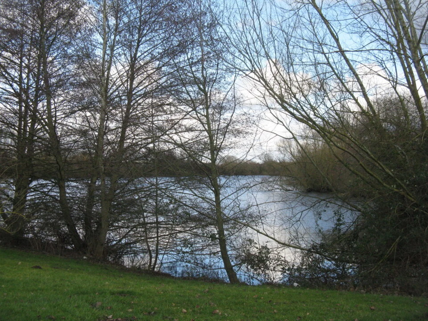 An image depicting the trail Emberton Country Park Loop and its surrounding area.