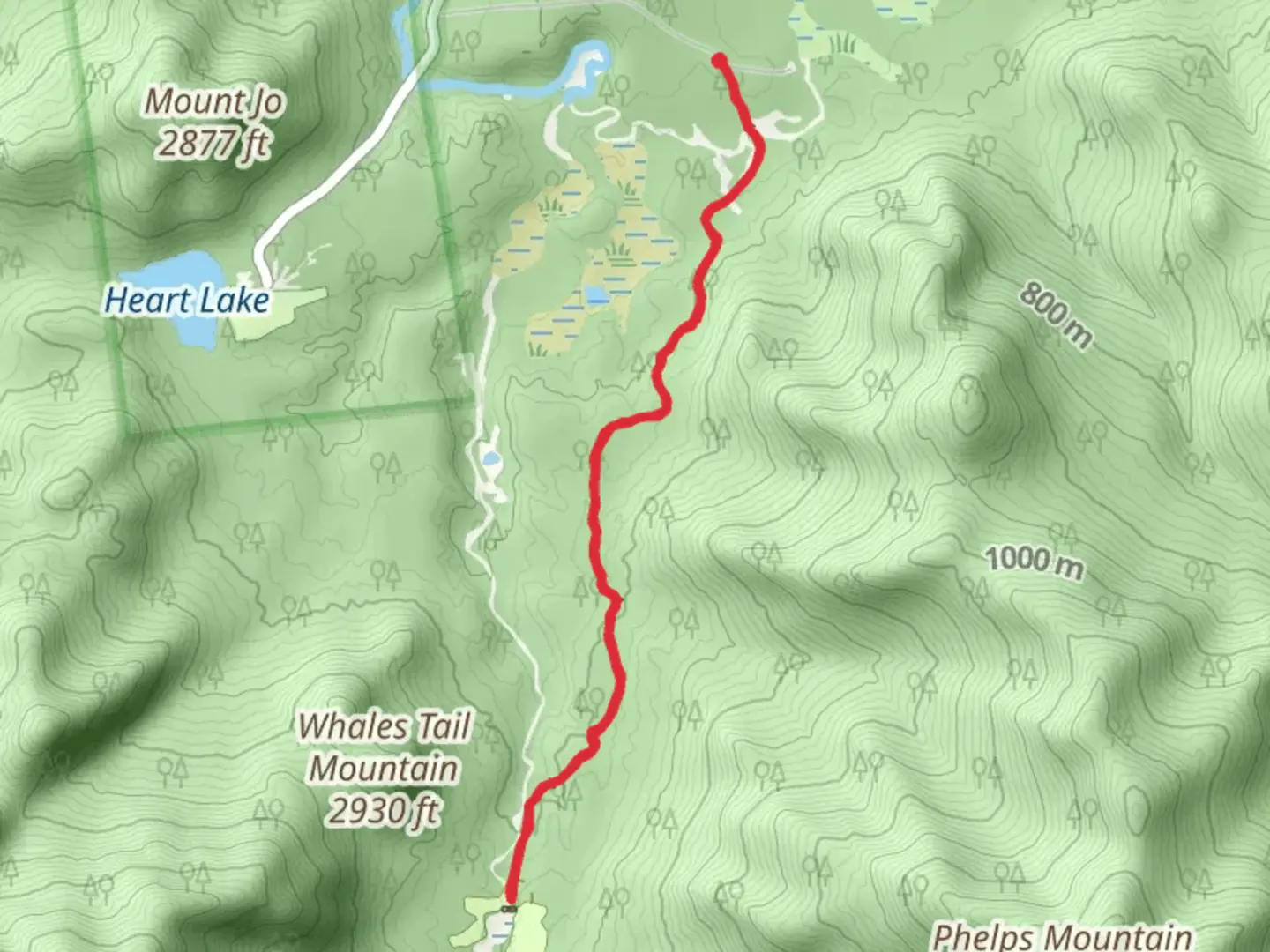 An image depicting the trail Marcy Dam Truck Trail and its surrounding area.