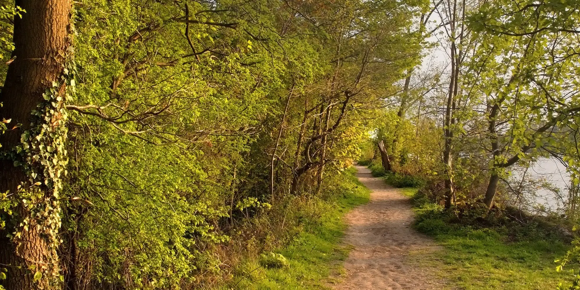An image depicting the trail Solihull Way and its surrounding area.