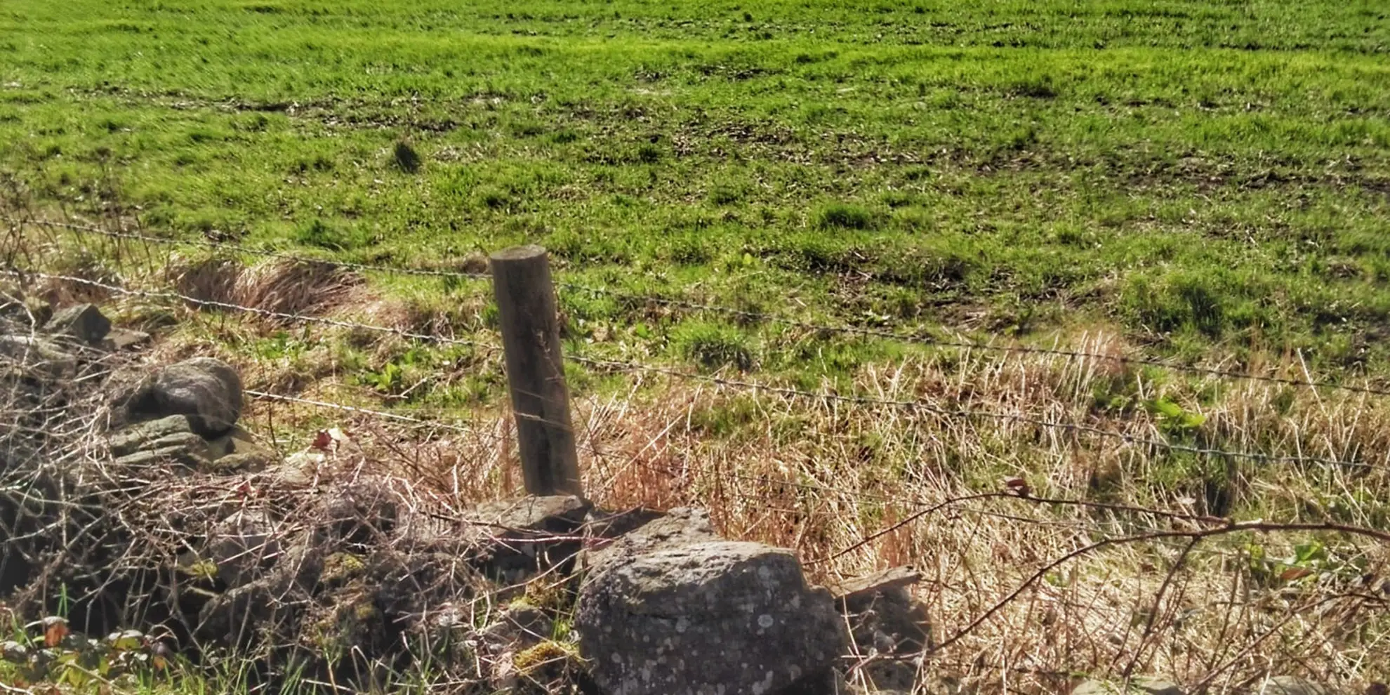 An image depicting the trail Deerness Valley Railway Path and its surrounding area.