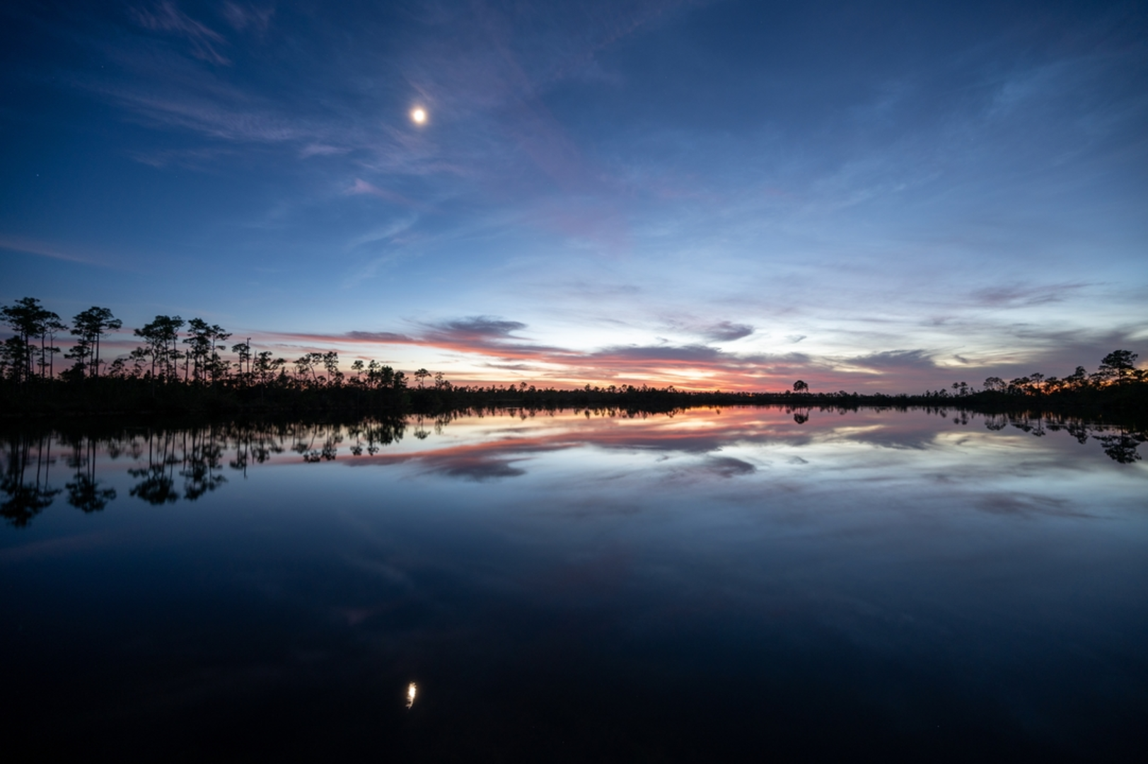 An image depicting the trail Long Pine Key Nature Gate 10 Trail and its surrounding area.