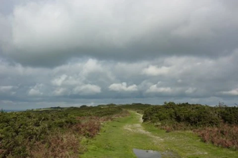 An image depicting the trail Vetnor Downs and Luccombe Down Loop and its surrounding area.