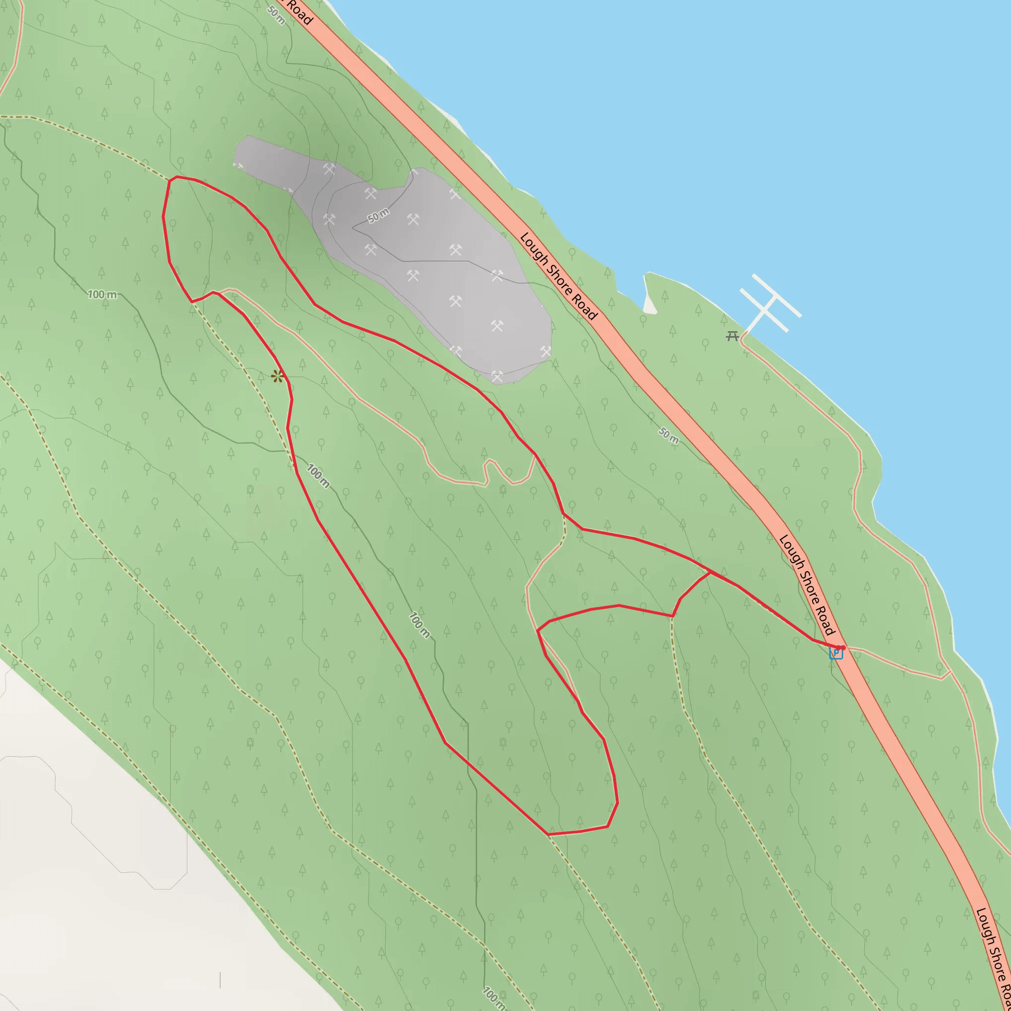 Ely Lodge Forest – Carrickreagh Viewpoint Walk mobile static map