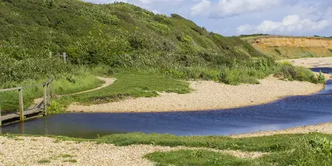 An image depicting the trail Solent Way and its surrounding area.