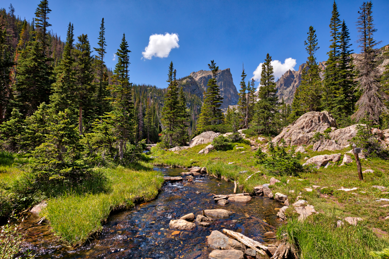 An image depicting the trail Bear Lake Trail and its surrounding area.