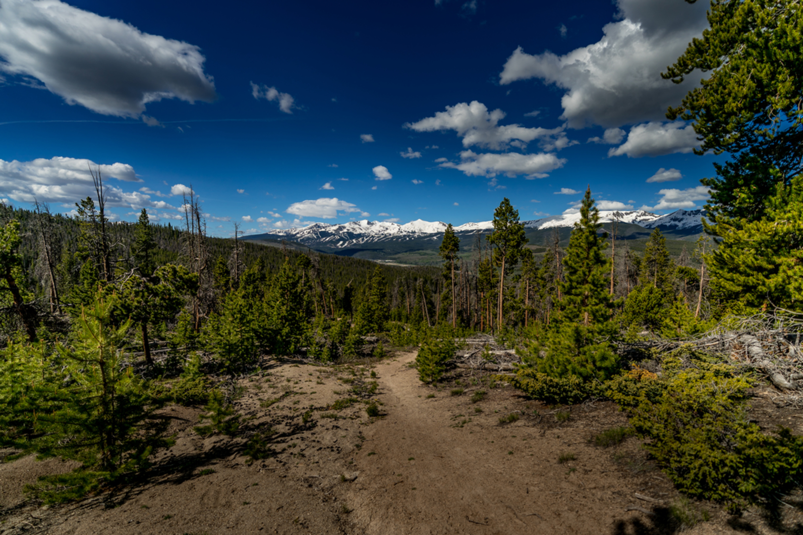 An image depicting the trail Campion Trail and its surrounding area.
