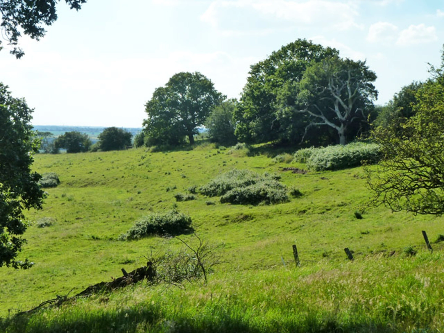 An image depicting the trail South Woodham Ferrers Eastern Loop and its surrounding area.