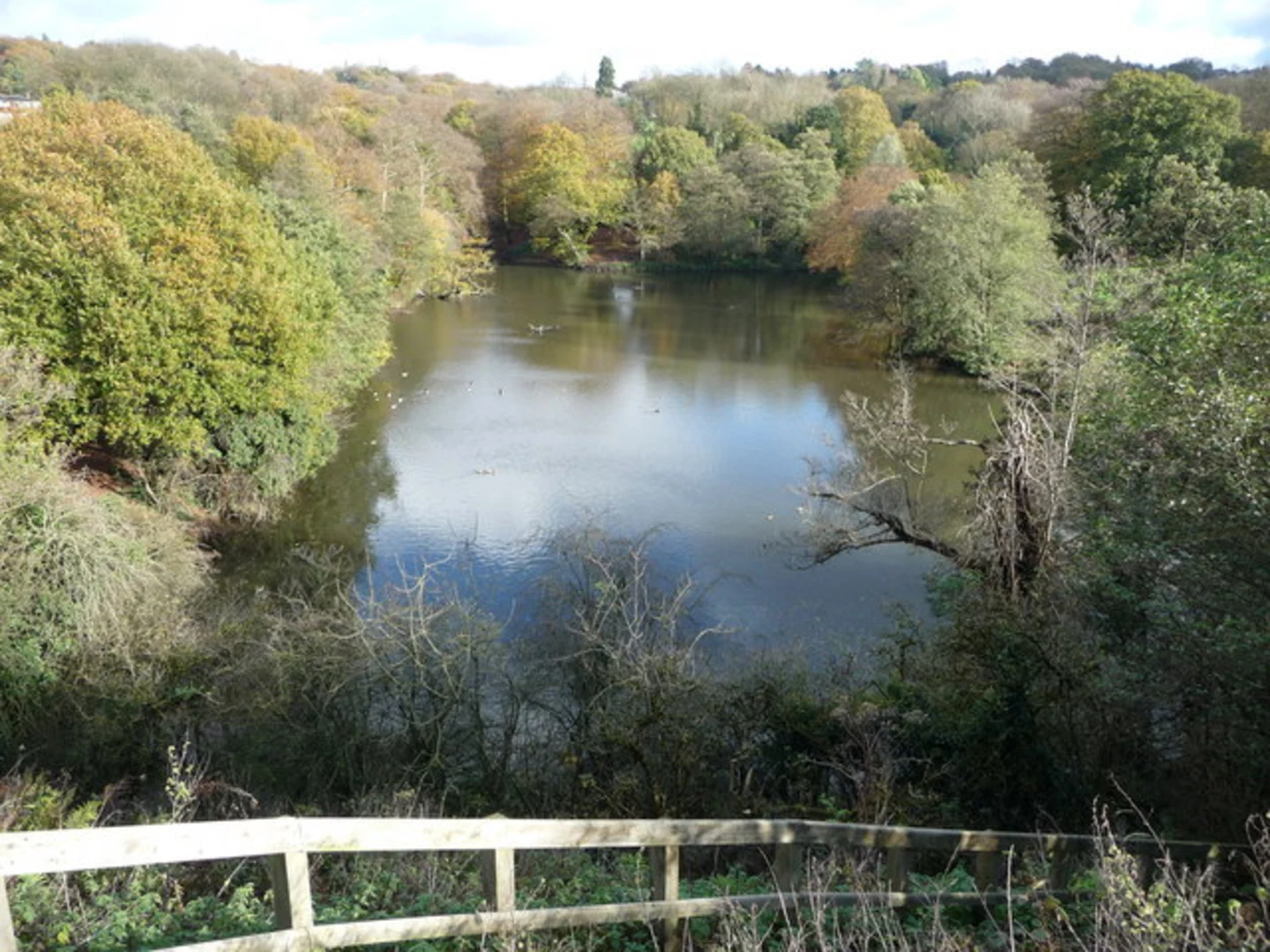 An image depicting the trail Breaches Pool and Cooper's Wood Loop and its surrounding area.