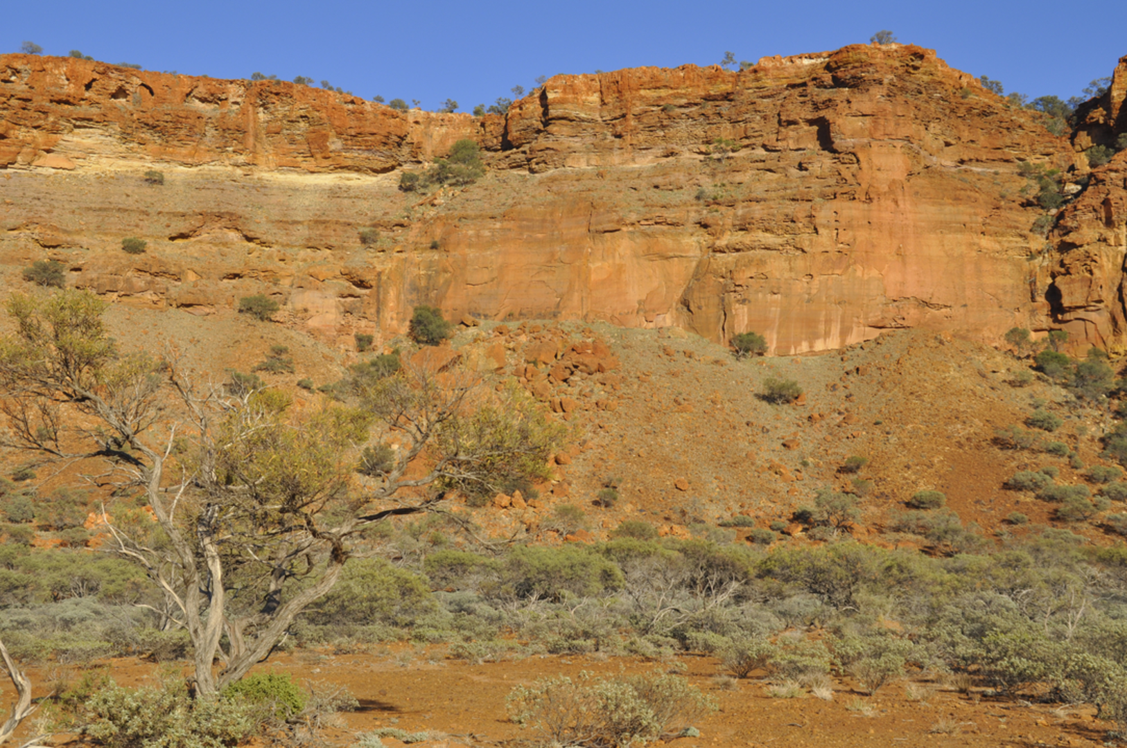 An image depicting the trail Escarpment Base Trail and its surrounding area.