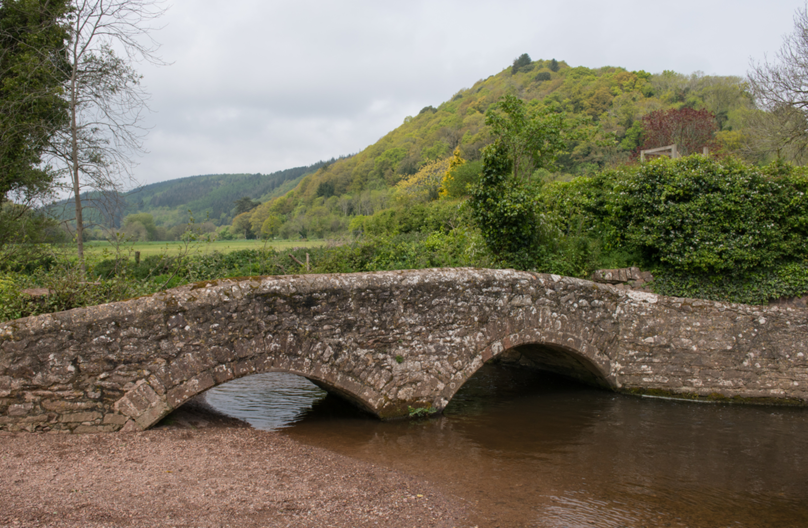 An image depicting the trail Minehead YHA - Dunster Walk and its surrounding area.
