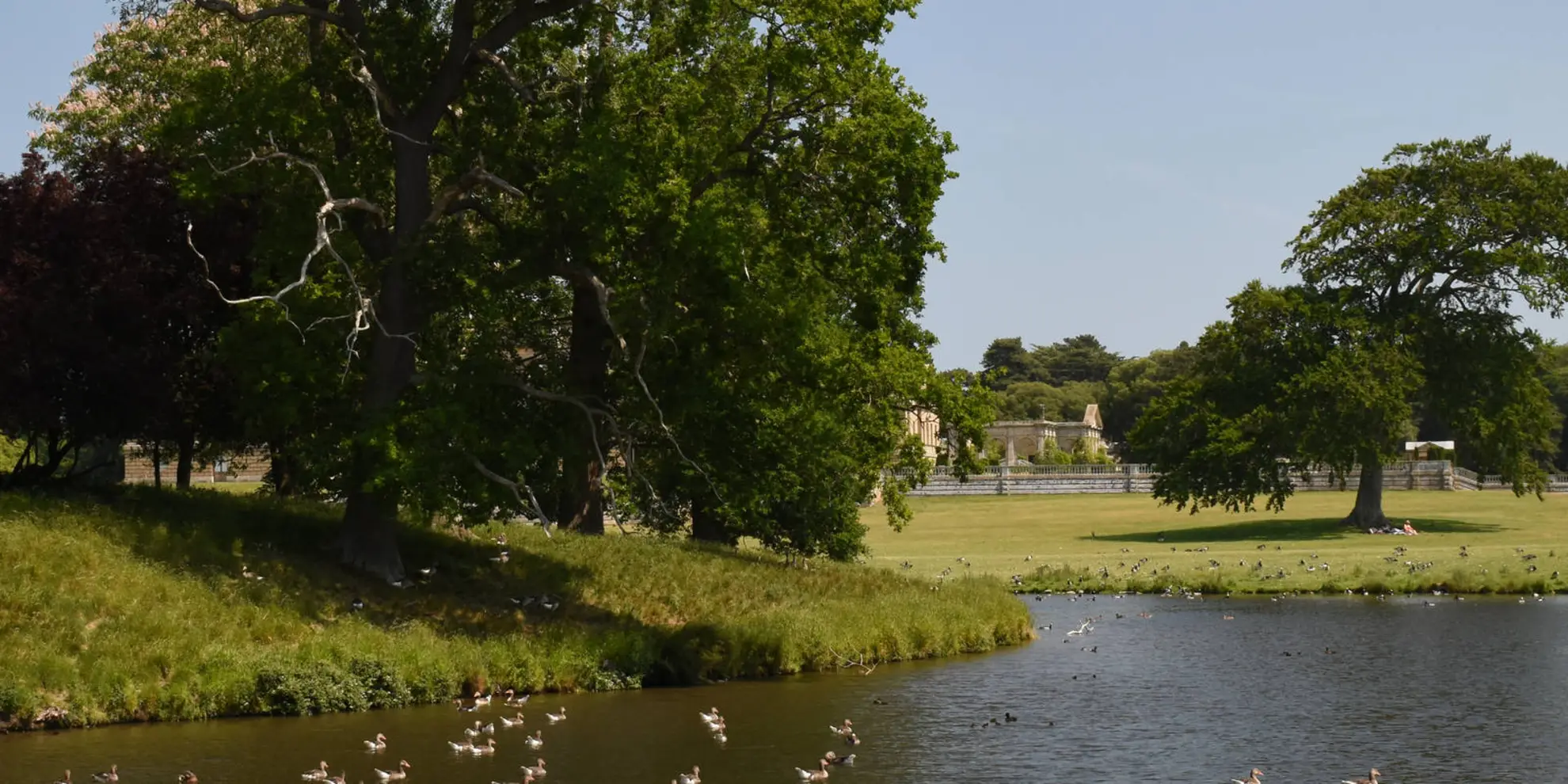 An image depicting the trail Holkham and Holkham Park Circular and its surrounding area.