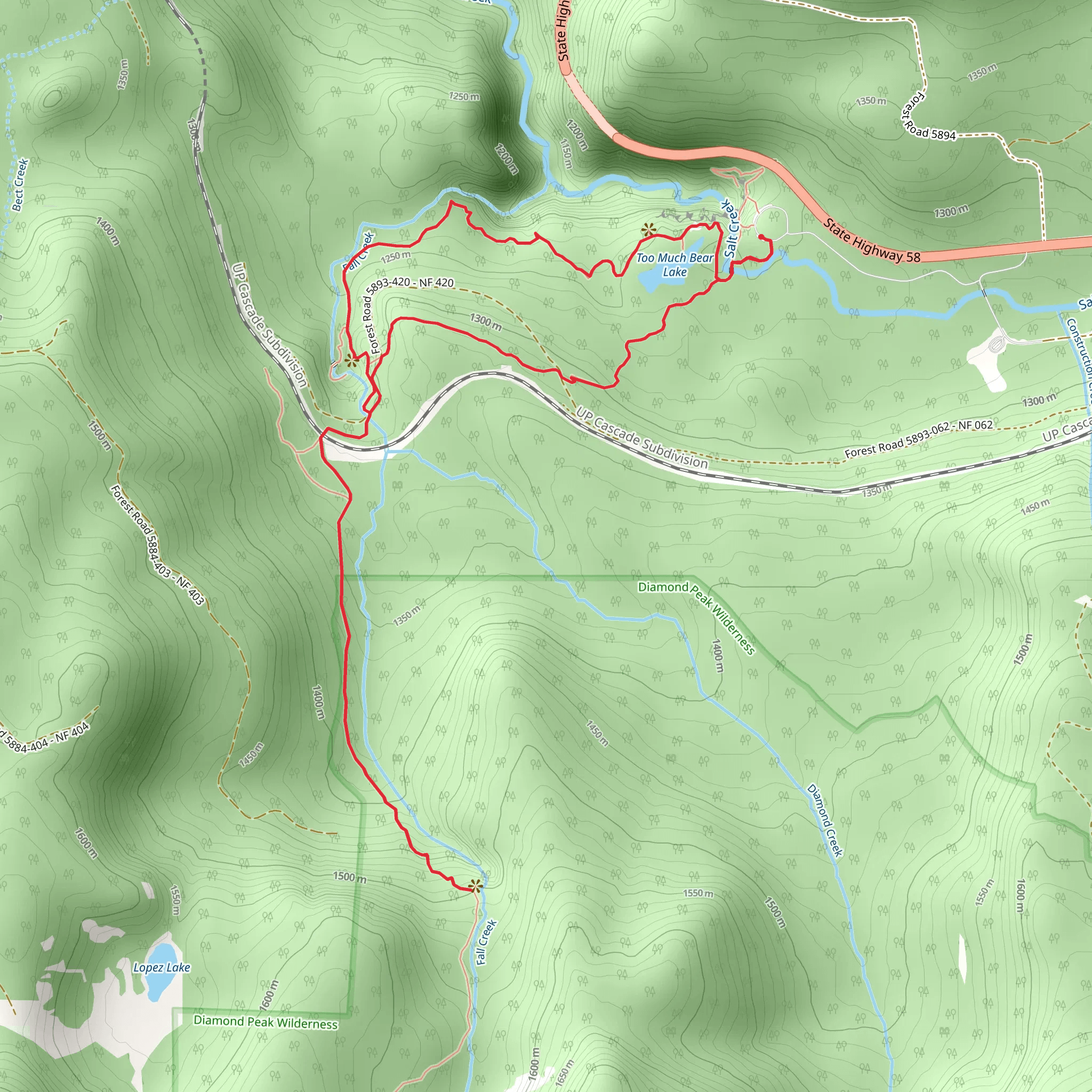Too Much Bear Lake, Fall Creek - Diamond Creek Falls Loop Trail mobile static map