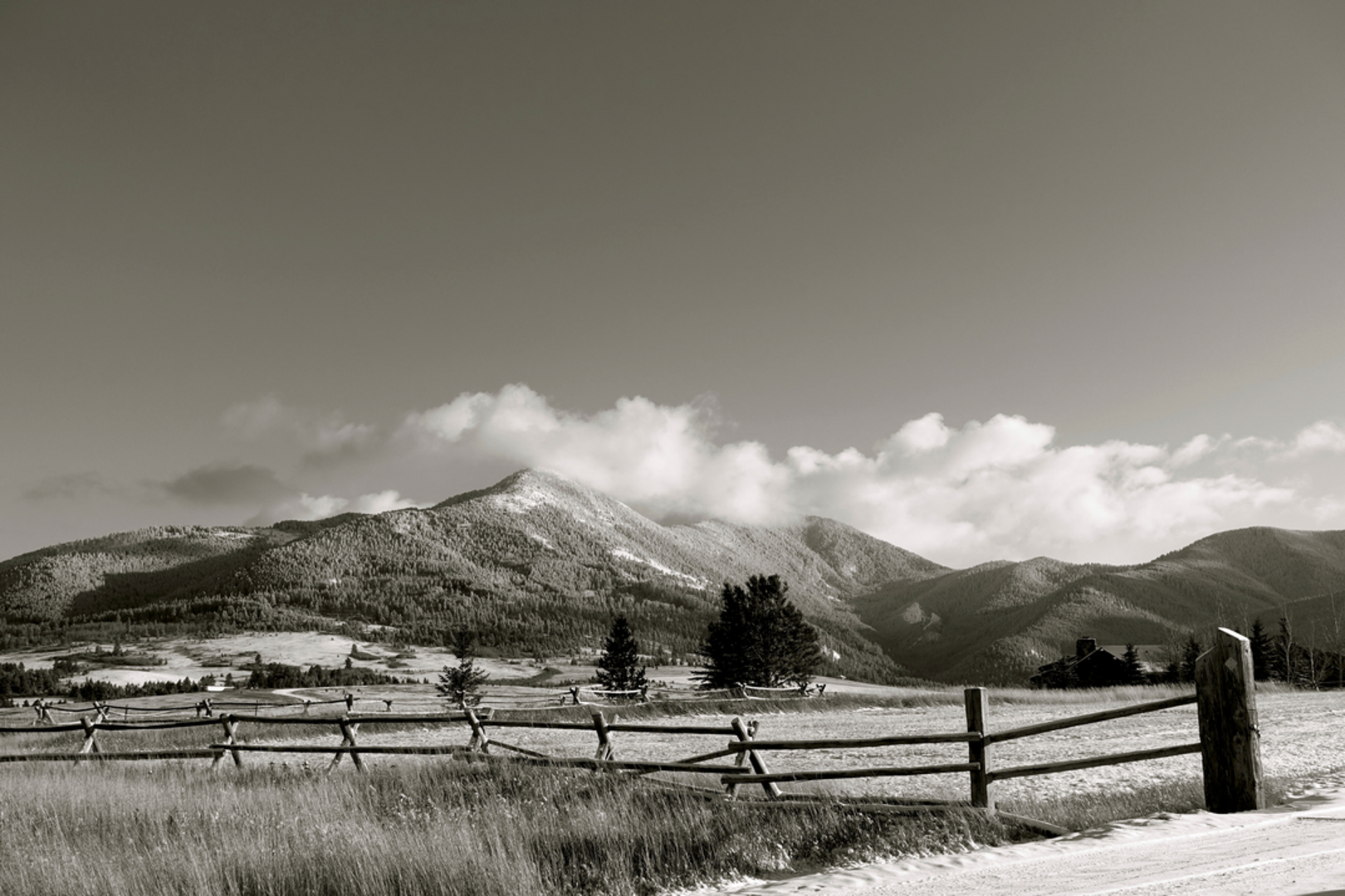 An image depicting the trail Face Draw Trail and its surrounding area.