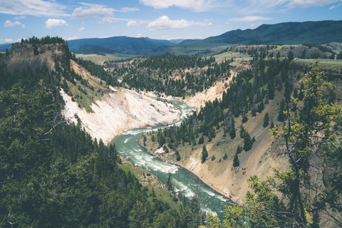 An image depicting the trail Yellowstone River Picnic Area Trail and its surrounding area.
