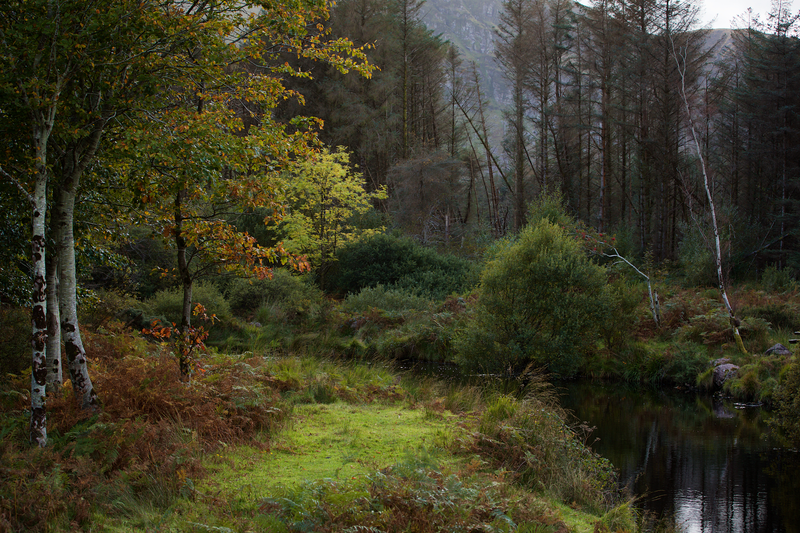 An image depicting the trail Glanteenassig - Lough Caum and its surrounding area.