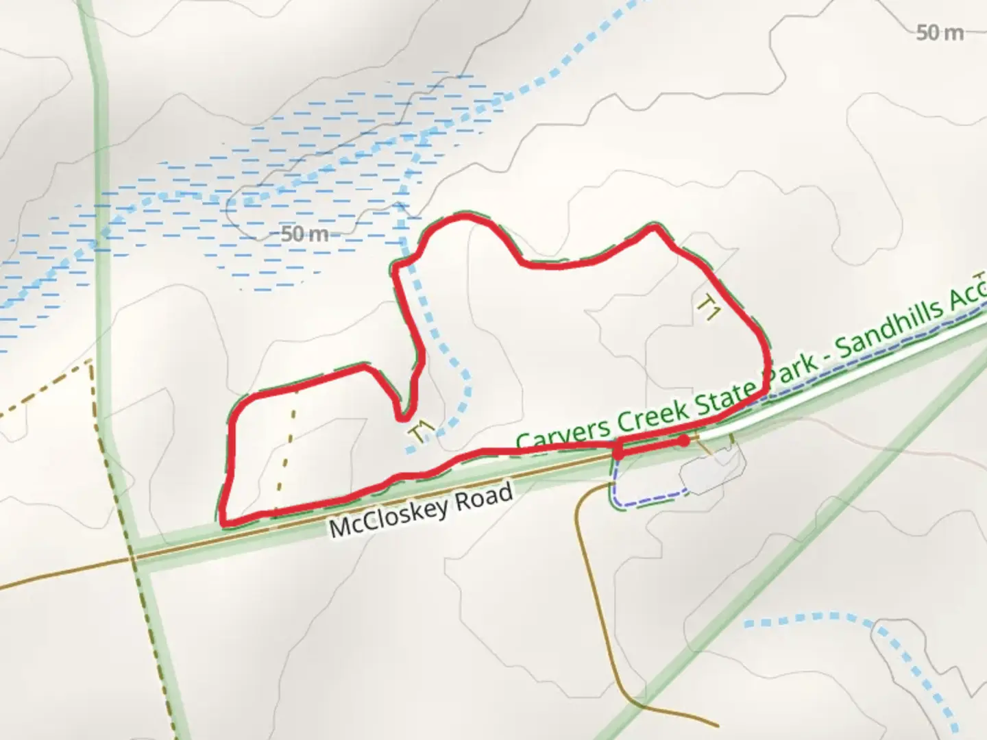 An image depicting the trail Wire Grass Loop Trail and its surrounding area.