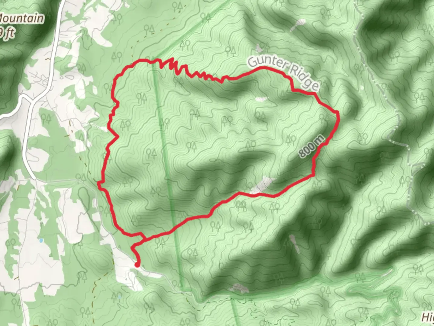An image depicting the trail Belfast and Gunter Ridge Loop Trail - Petites Gap Road and its surrounding area.