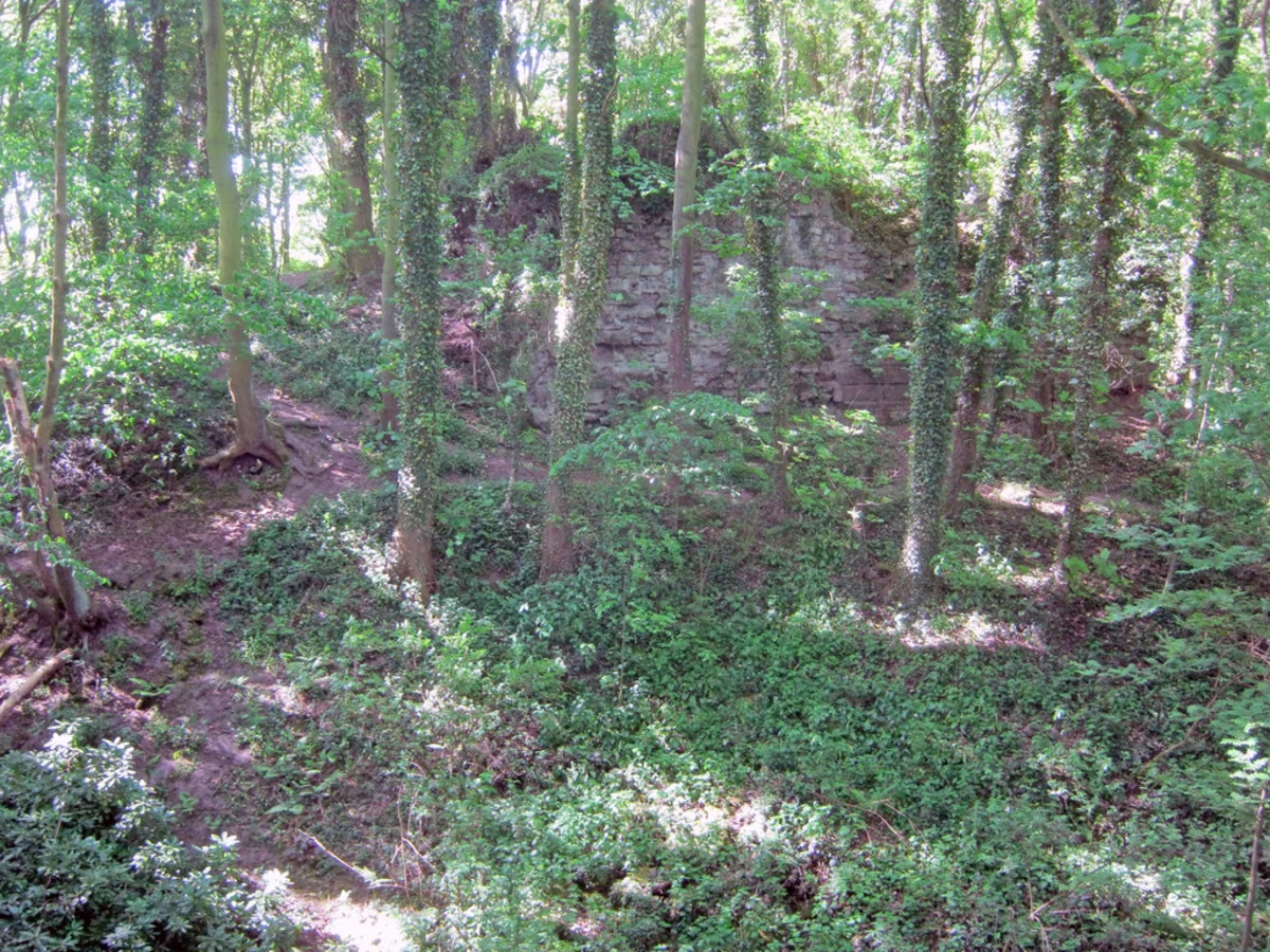 Castle Wood via Derby Nomad Way