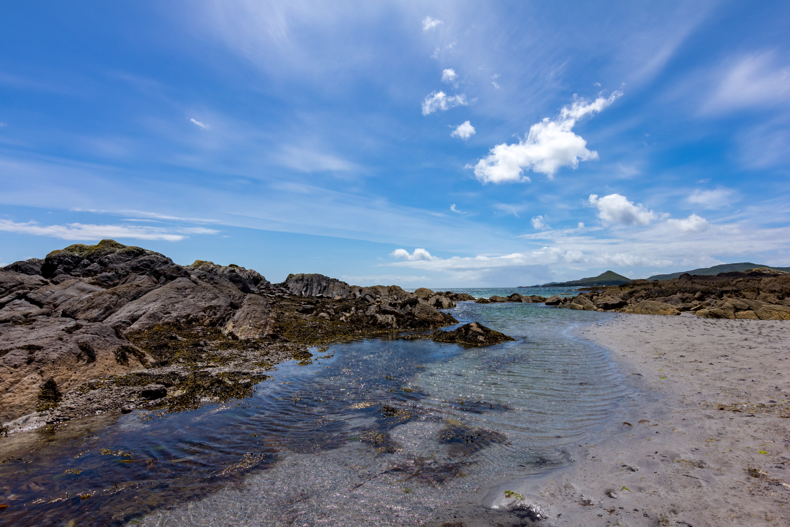 An image depicting the trail Killeen White Stone Bog Loop and its surrounding area.