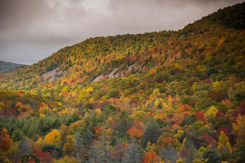 An image depicting the trail Granny Burrell, Frolictown and Wilderness Falls via Panthertown Valley Trail and its surrounding area.