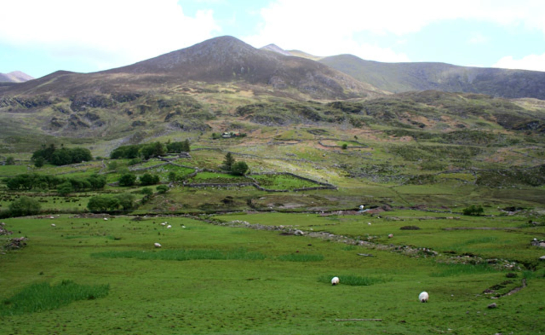 An image depicting the trail Caher and Caher West Top Loop via The Kerry Way and its surrounding area.
