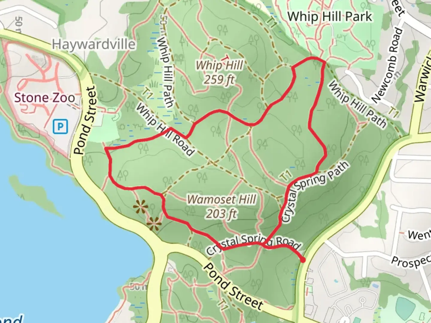 An image depicting the trail Crystal Spring Path Loop and its surrounding area.