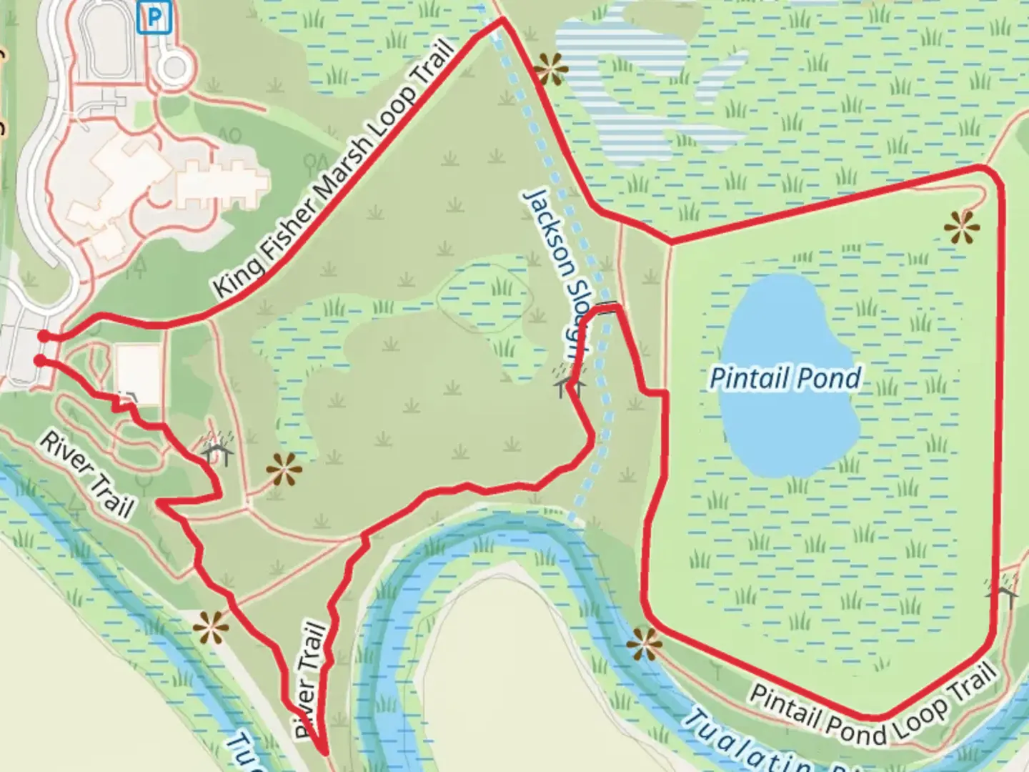 An image depicting the trail Pintail Pond Loop via King Fisher Marsh Trail and its surrounding area.