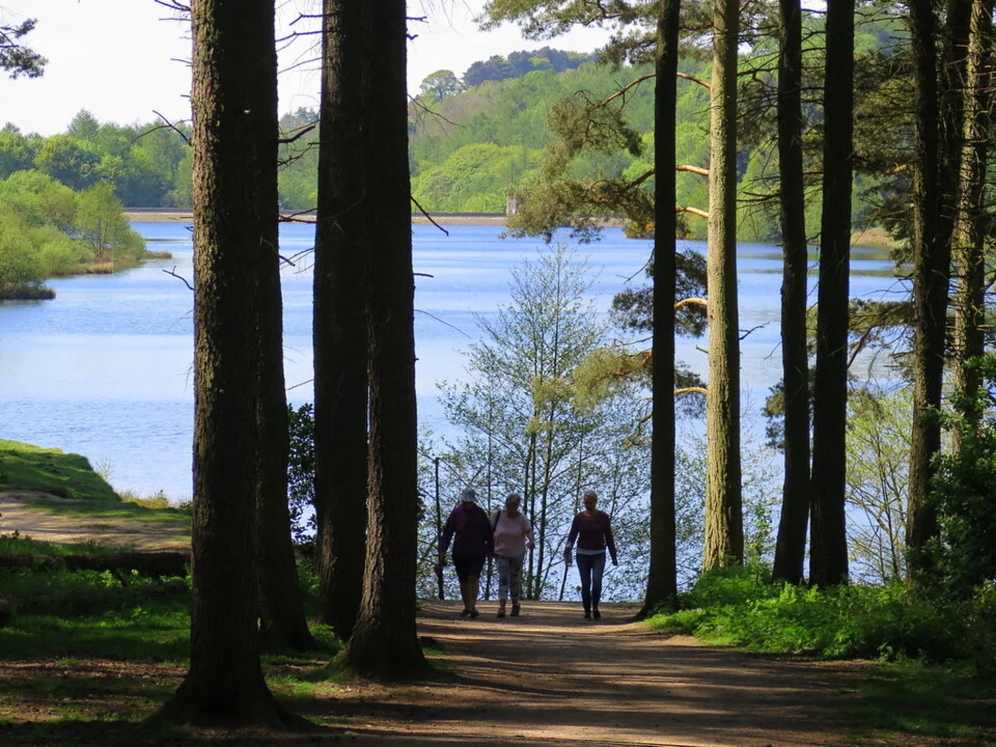 An image depicting the trail Cod Beck Reservoir and its surrounding area.