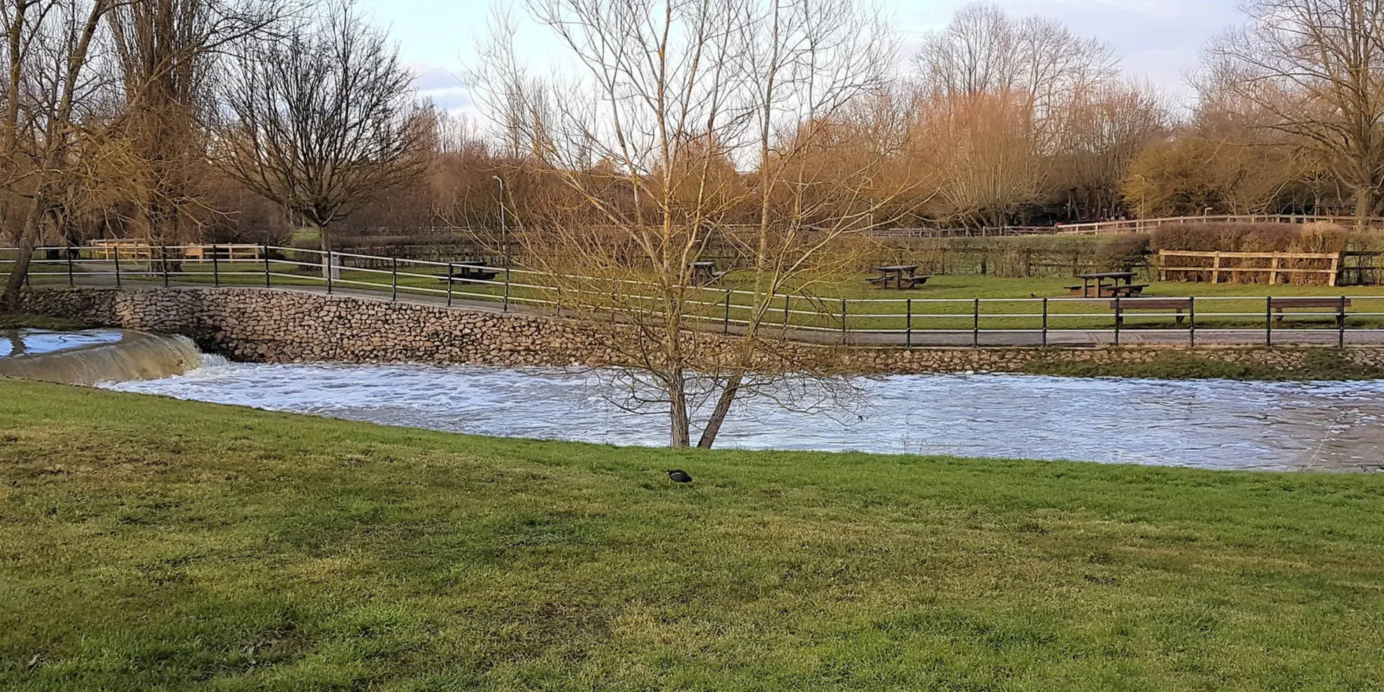 An image depicting the trail Bernwood Jubilee Way and its surrounding area.