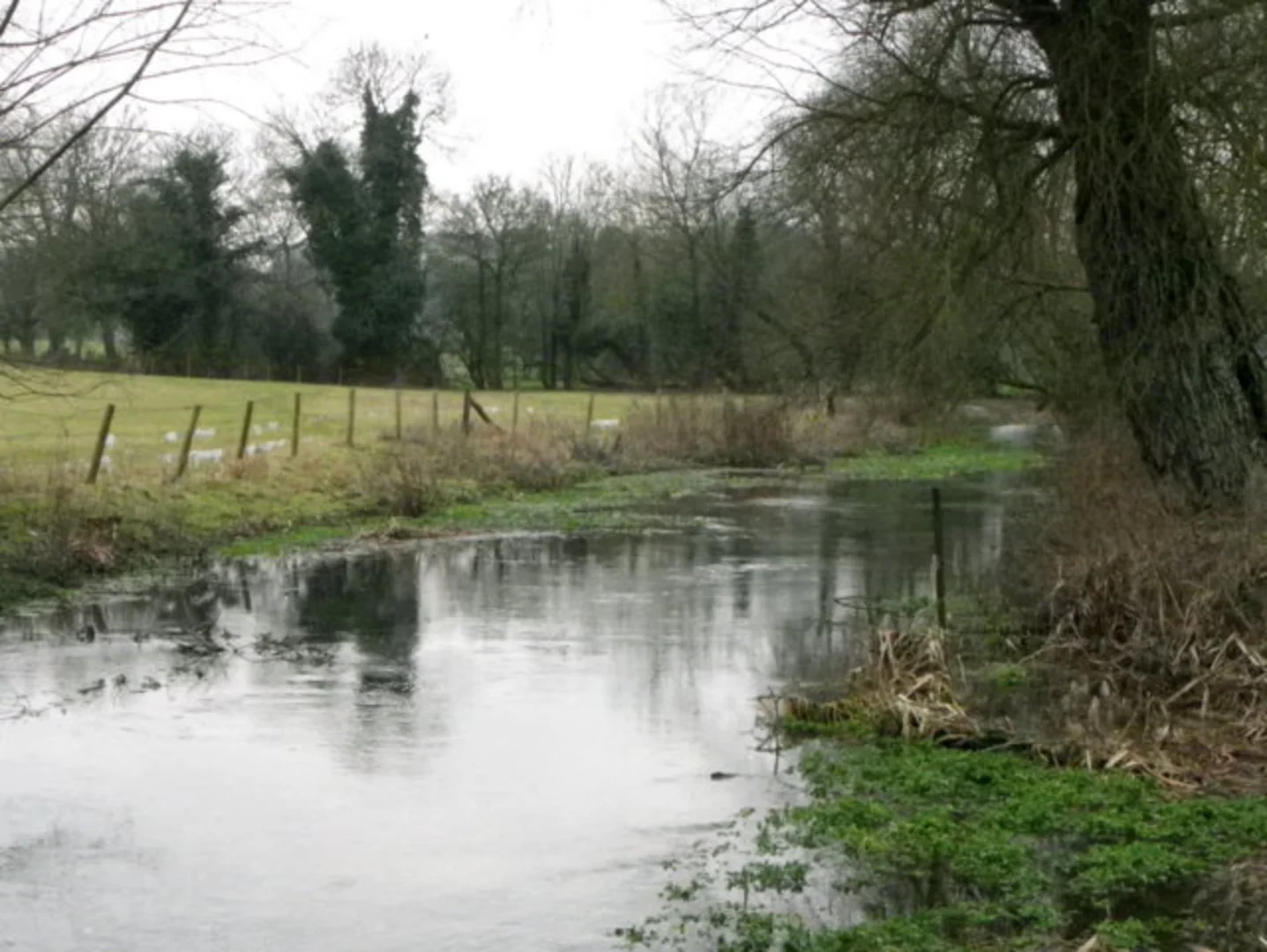 An image depicting the trail Broad Chalke Loop and its surrounding area.