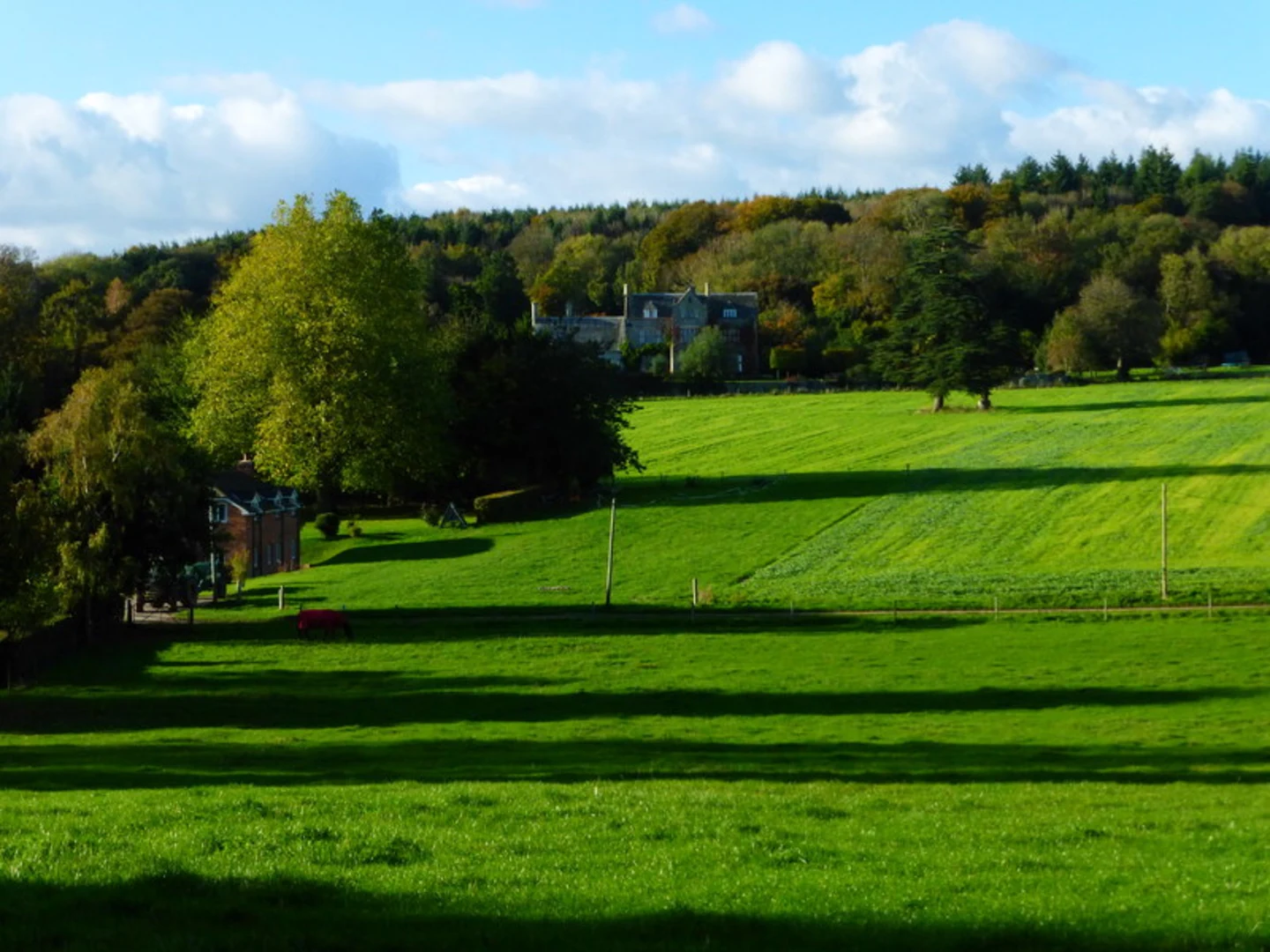 An image depicting the trail Kingley Vale NNR and its surrounding area.
