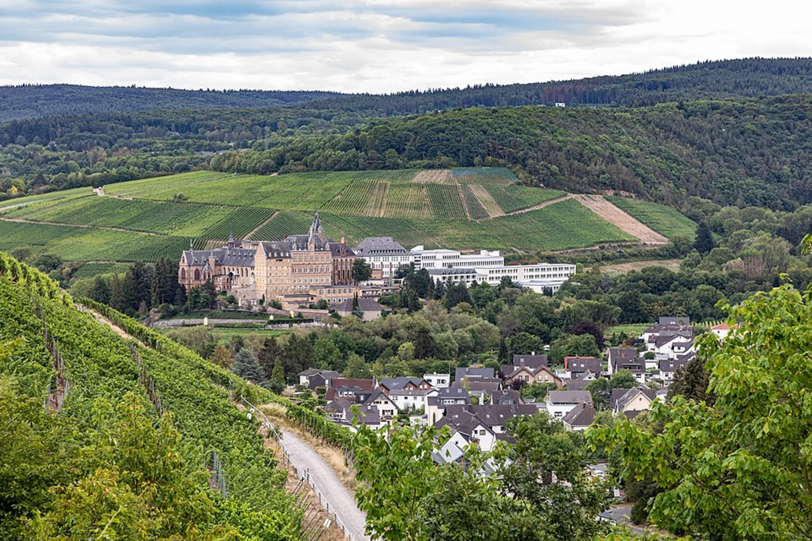 An image depicting the trail Walporzheim to Bad Neuenahr via Ahrsteig and its surrounding area.