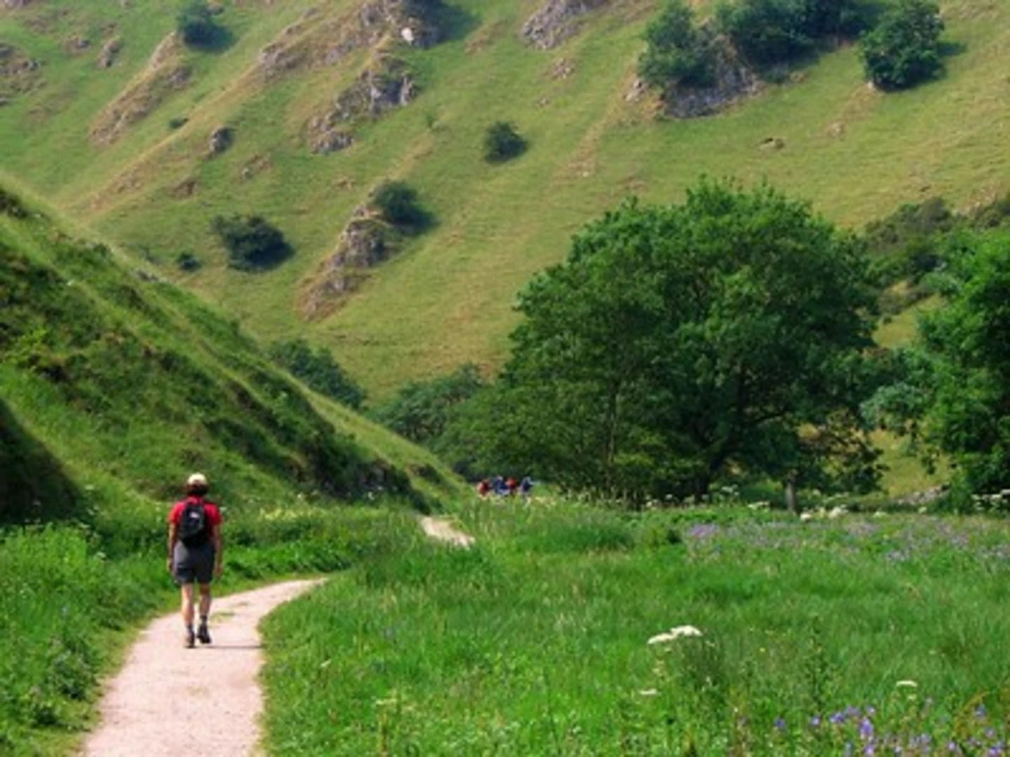 An image depicting the trail Biggin Dale NNR and Wolfscote Hill Walk and its surrounding area.