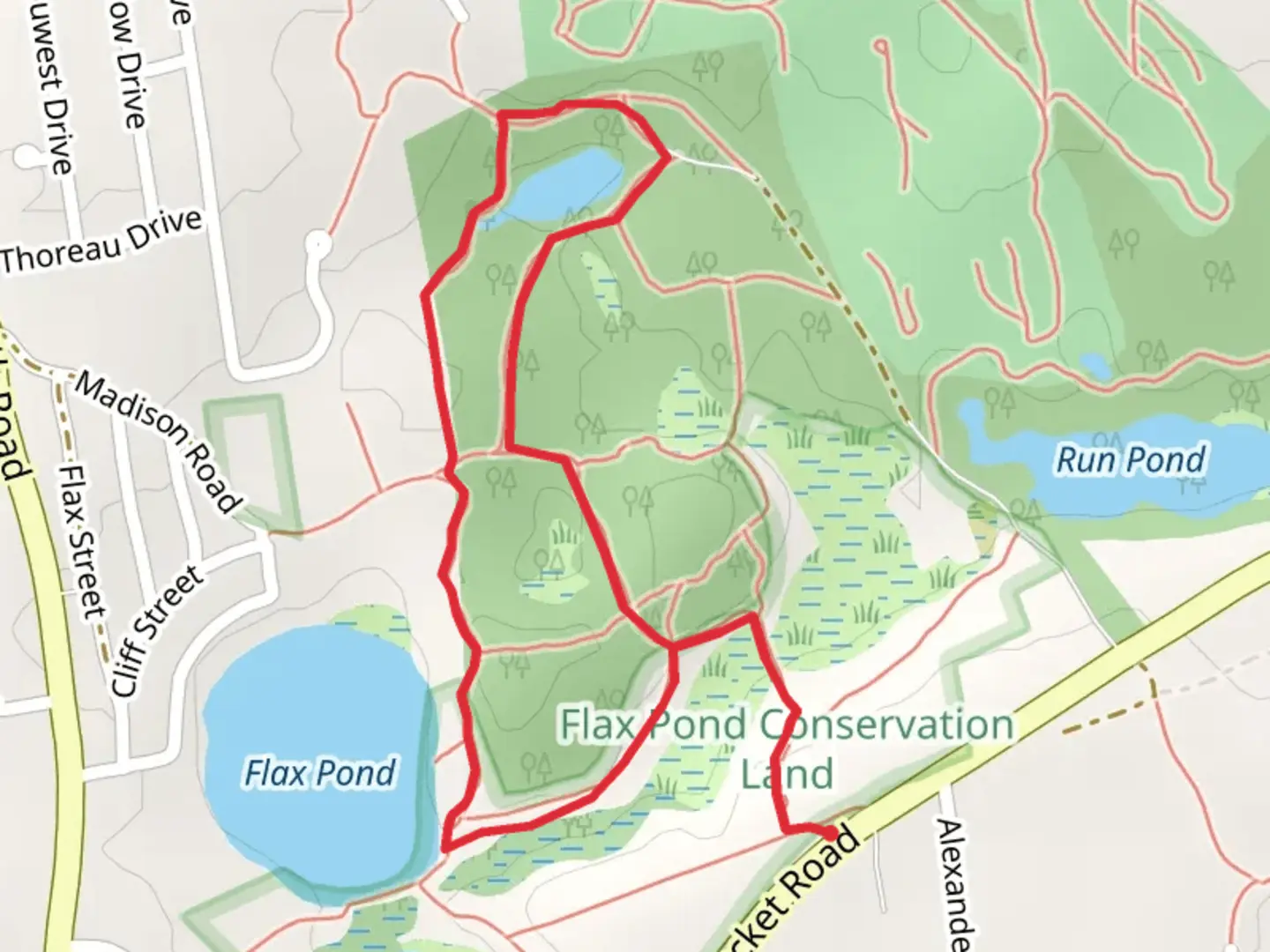 An image depicting the trail Setucket Road North Loop Trail and its surrounding area.