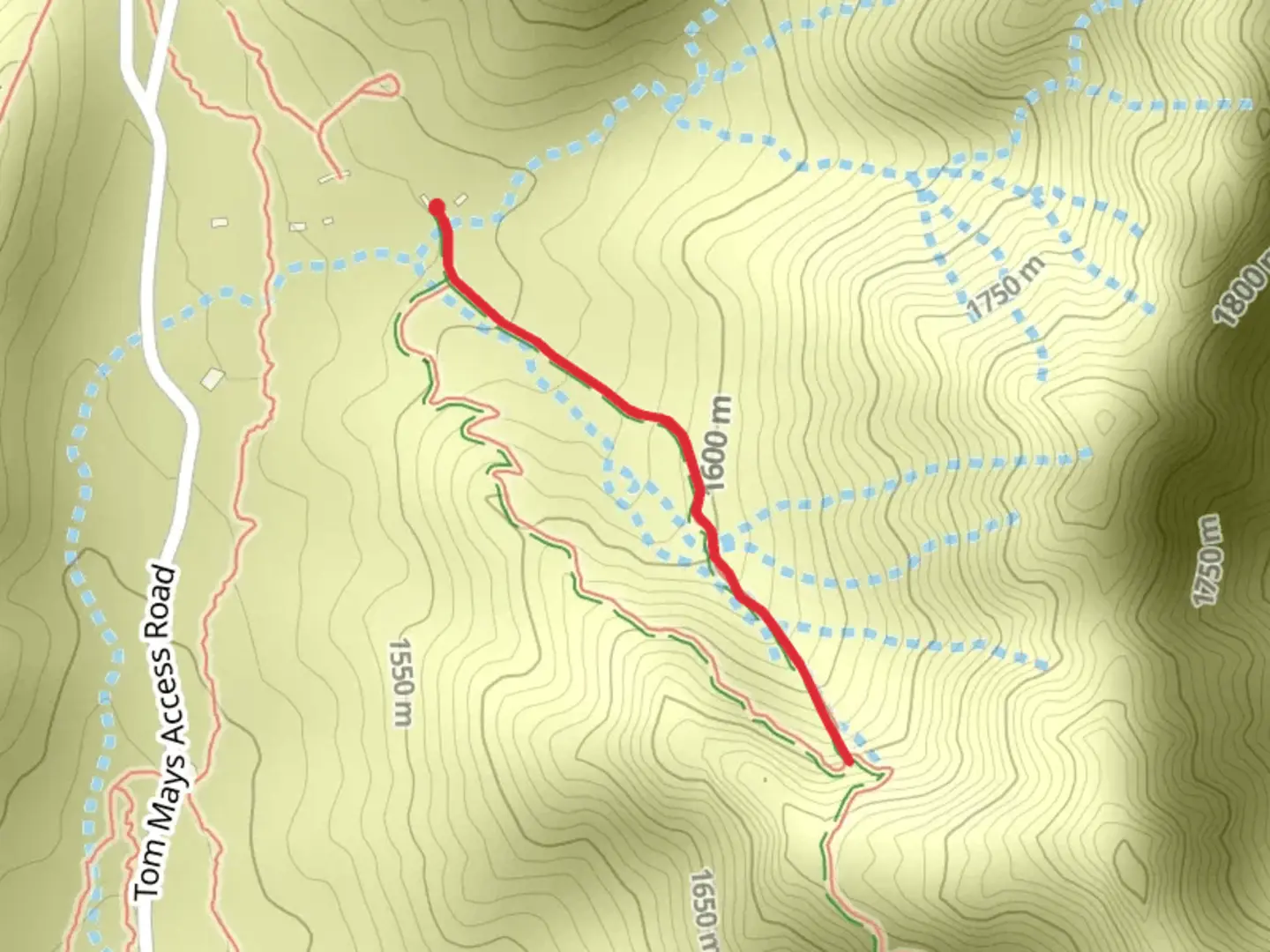 An image depicting the trail Aztec Caves and its surrounding area.