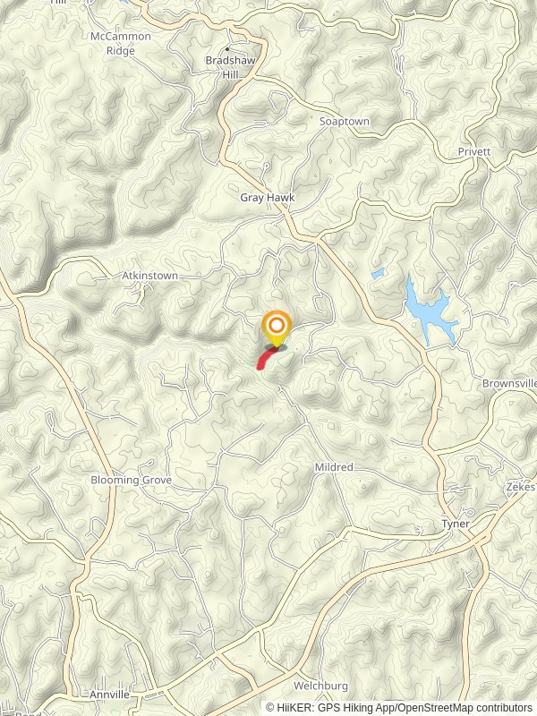 Flat Lick Falls Loop