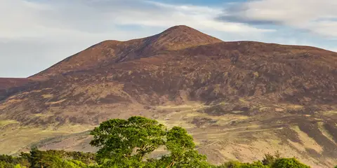 An image depicting the trail Purple Mountain and its surrounding area.