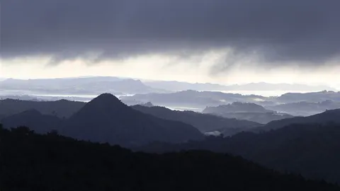 Whangaiterenga to Crosbies Hut Track