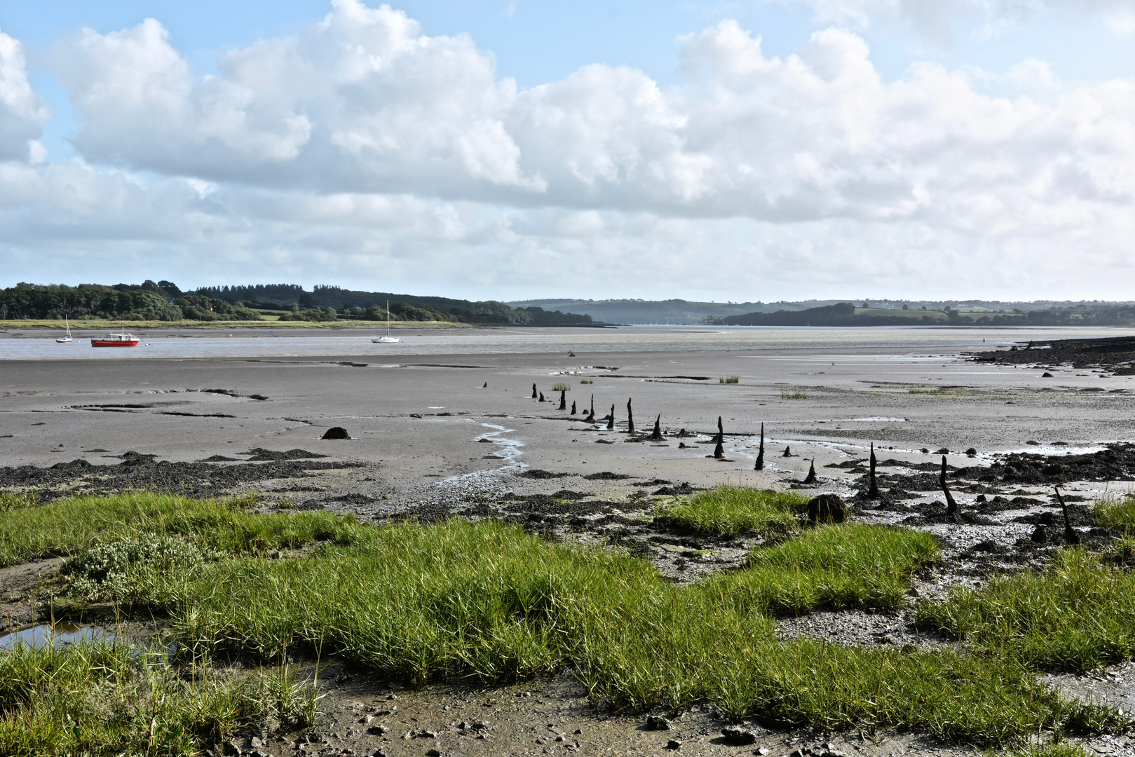 An image depicting the trail Slebech Park and its surrounding area.
