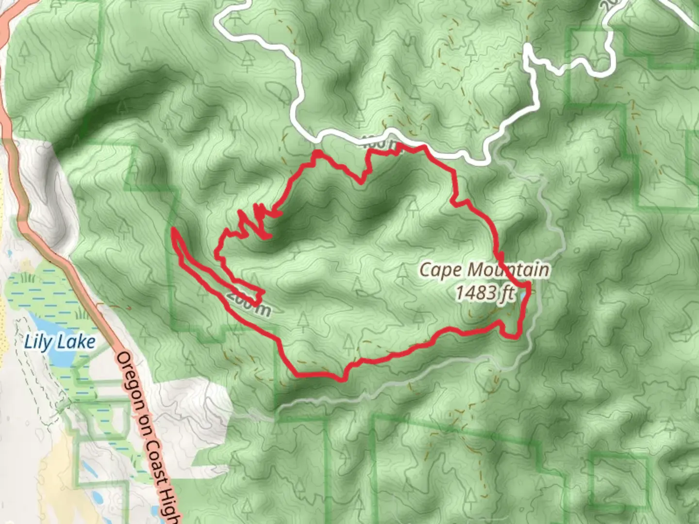 An image depicting the trail Cape Mountain and Berry Creek Loop and its surrounding area.