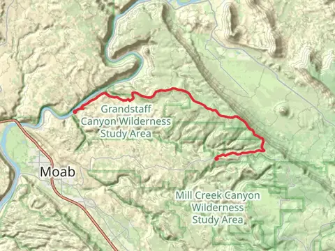 Porcupine Rim Single Track