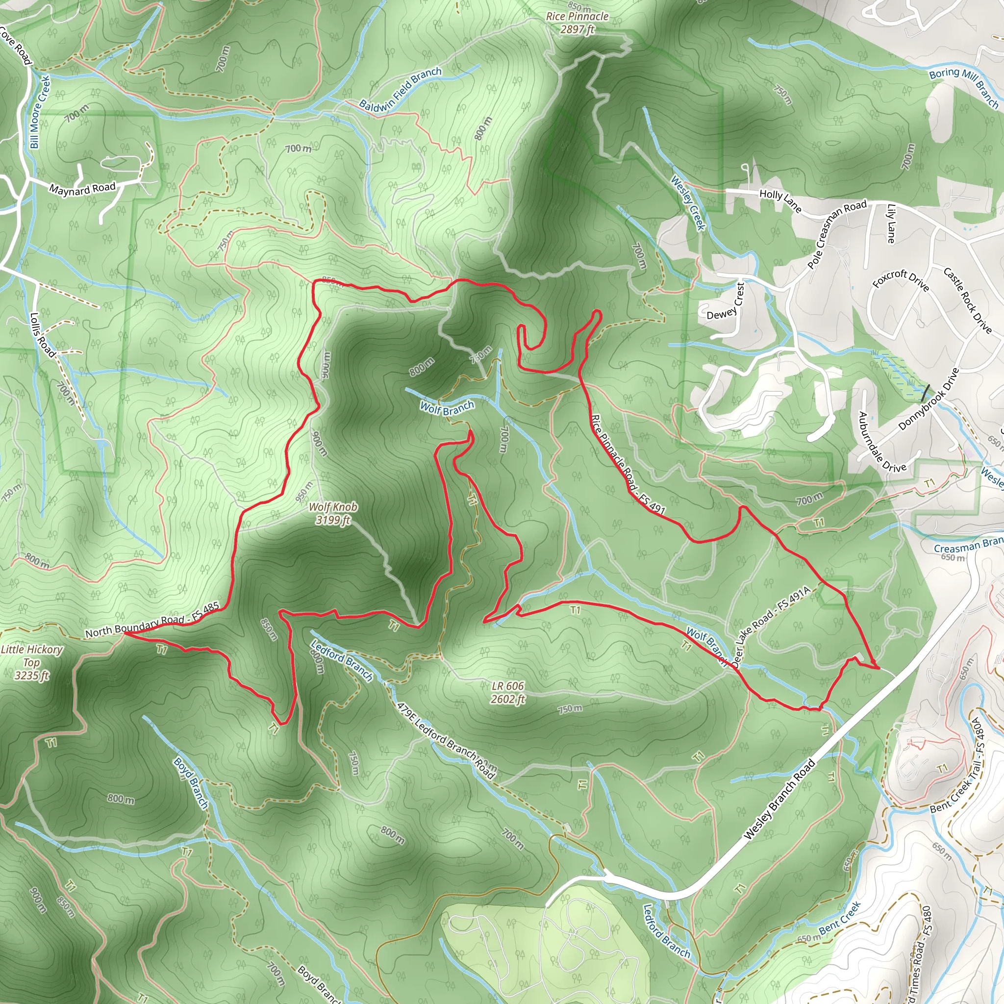 Ingles Field Gap, Wolf Branch Trail and Rice Pinnacle Road Loop mobile static map