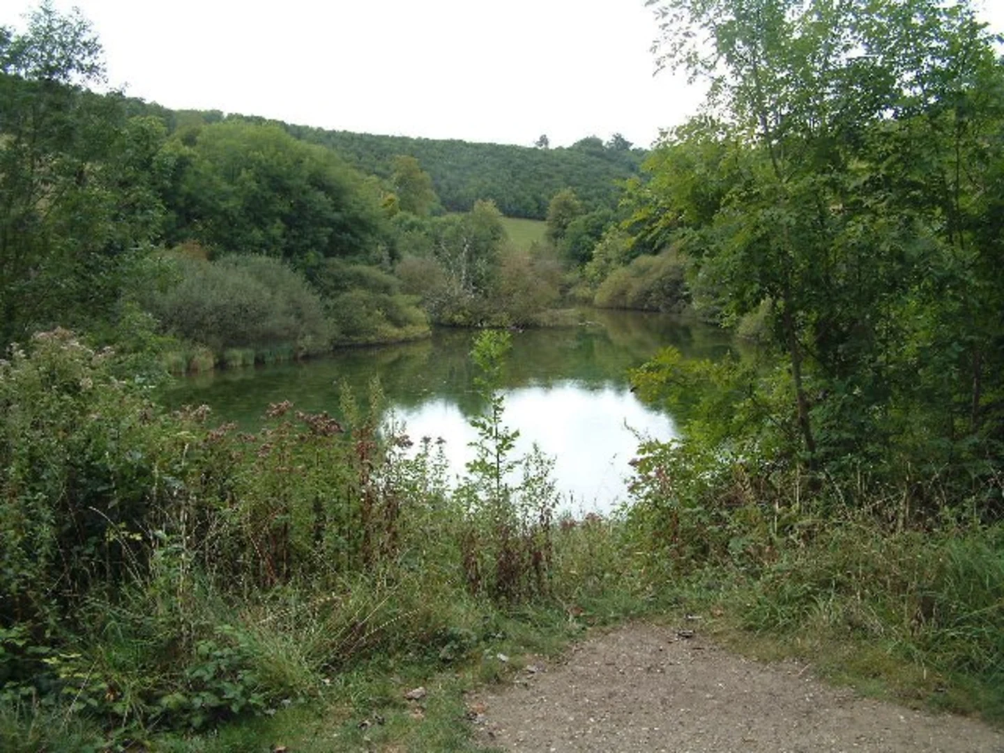 An image depicting the trail Arundel and Swanbourne Lake Circular Walk and its surrounding area.