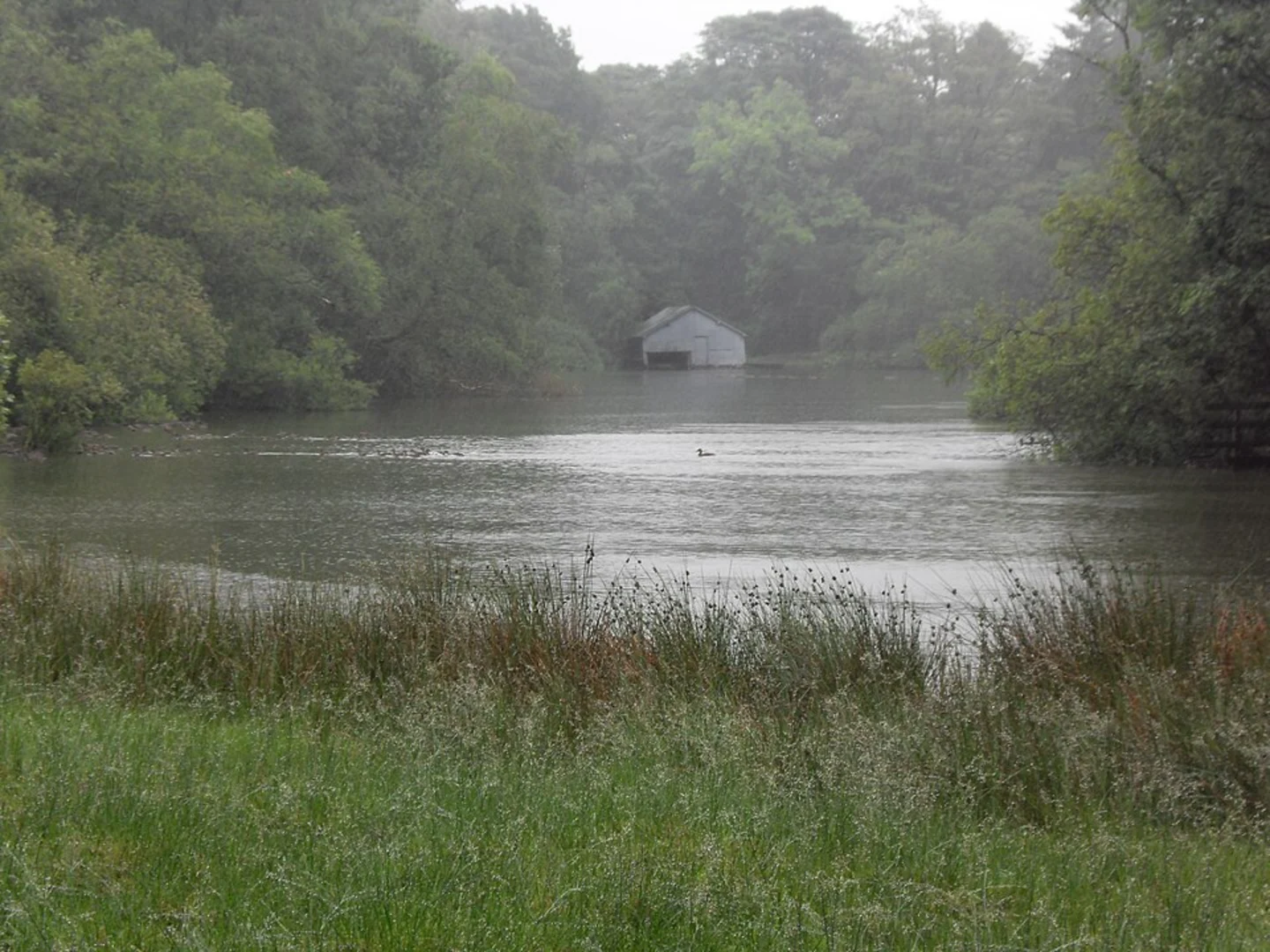 An image depicting the trail Kendal to Windermere Walk and its surrounding area.